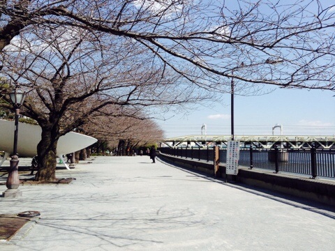 隅田公園のメイン写真