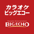 ビッグエコー BIG ECHO 釧路オリエンタルプラザ店のロゴ