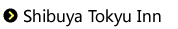 Shibuya TokyuInn