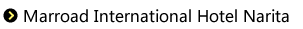 Marroad International Hotel Narita