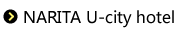 NARITA U-city hotel