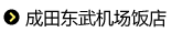 成田东武机场饭店