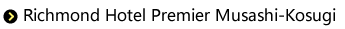 Richmond Hotel Premier Musashi-Kosugi