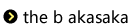 the b akasaka