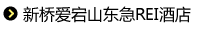 新桥爱宕山东急REI酒店