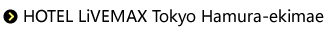 Hotel Live-Max Tokyo Hamura-ekimae