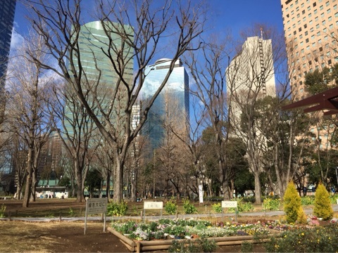 新宿中央公園の画像