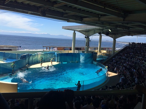 新江ノ島水族館の画像