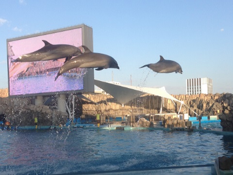 名古屋港水族館の画像